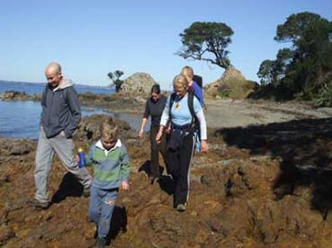 Walks on Waiheke