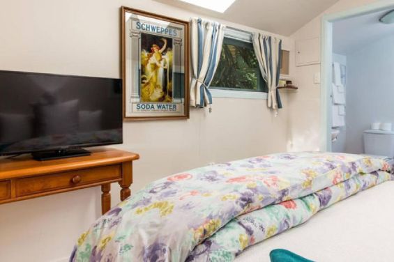 Treetops Bungalow TV